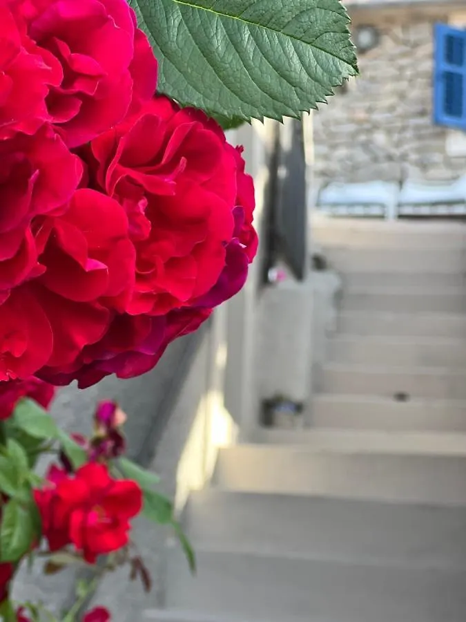 Valun 61 Villa Case de vacanță