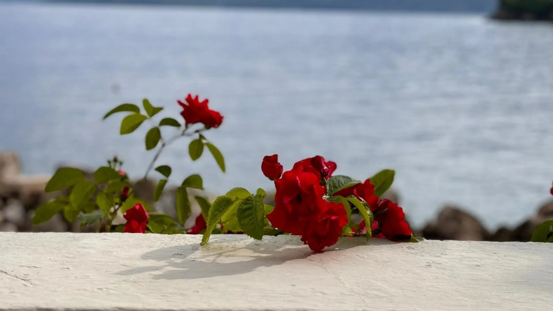 Valun 61 Villa Croatia